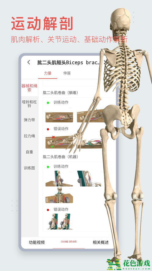 3dbody解剖图